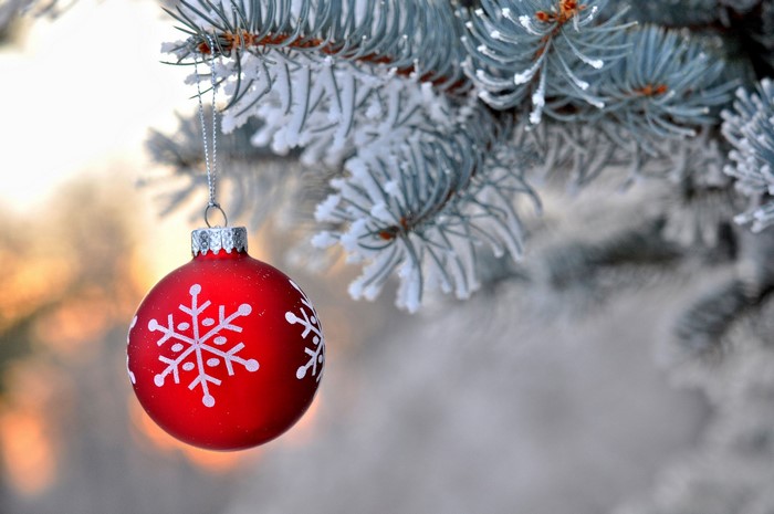 Red Christmas ornament with snowflakes on a frosted pine branch