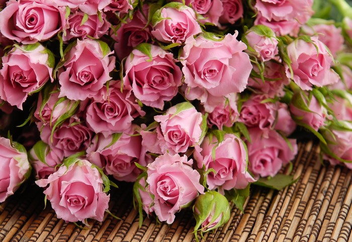 Many pink roses on a bamboo mat