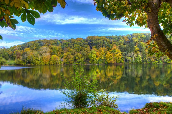4K Ulmen Germany Rivers Forests Scenery