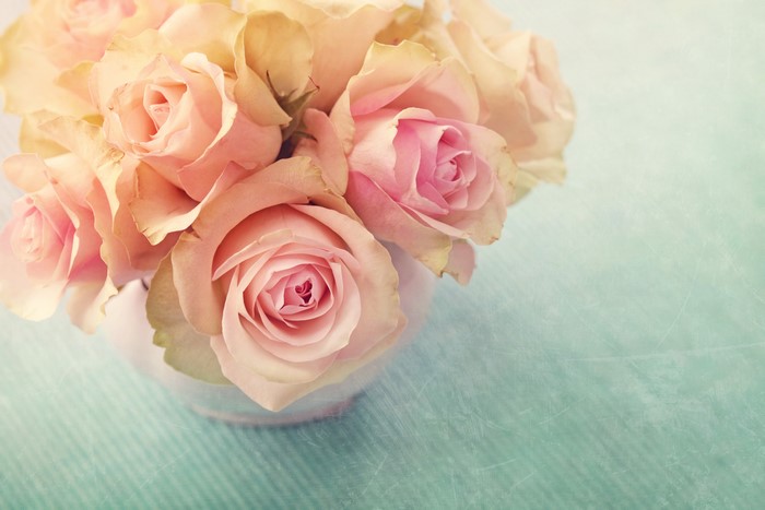 Pink Roses in a Vase