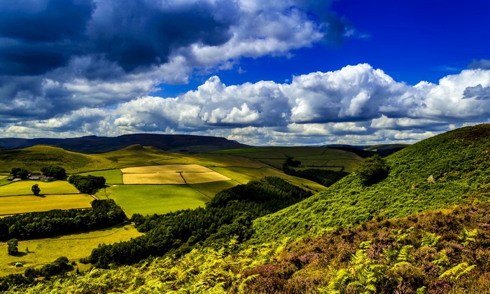 Rolling green hills and fields under a cloudy sky