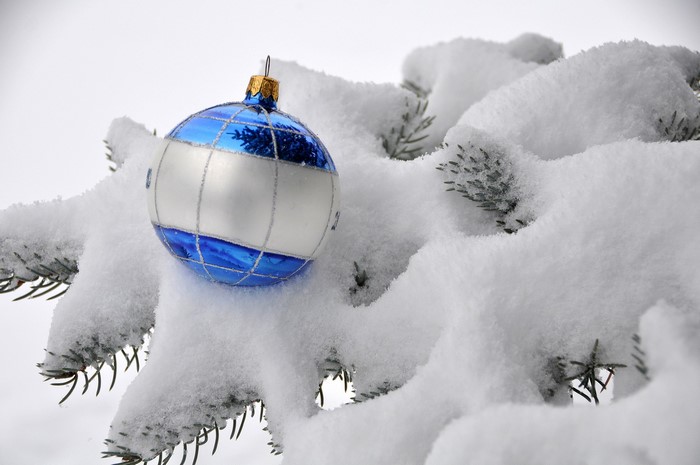 Christmas ornament on a snow-covered fir branch