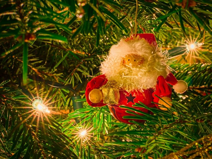 Santa Claus ornament on a Christmas tree with lights