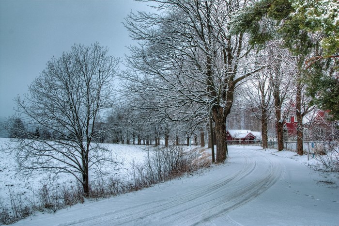 Snowy road with trees and houses in winter