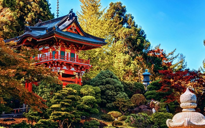 Japanese Pagoda in a Garden with Autumn Foliage