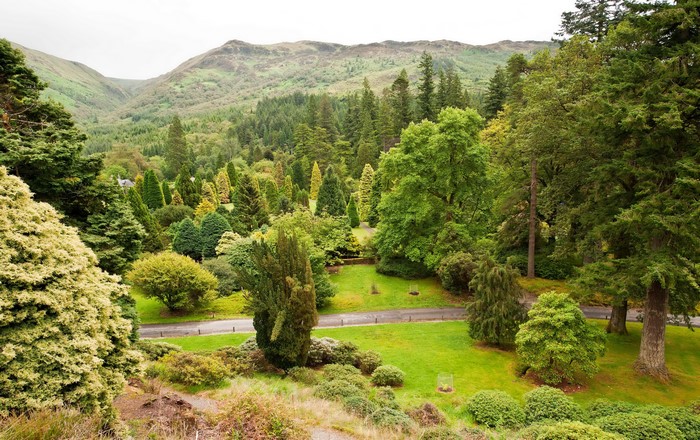 Benmore Botanic Garden, Argyll, Scotland