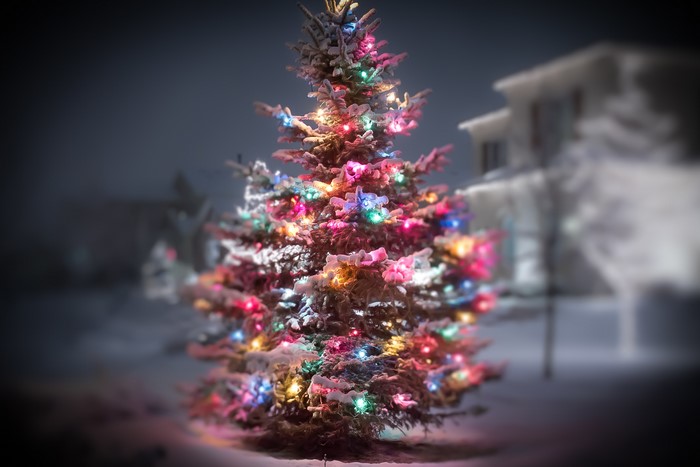 4K Christmas tree with lights in snow