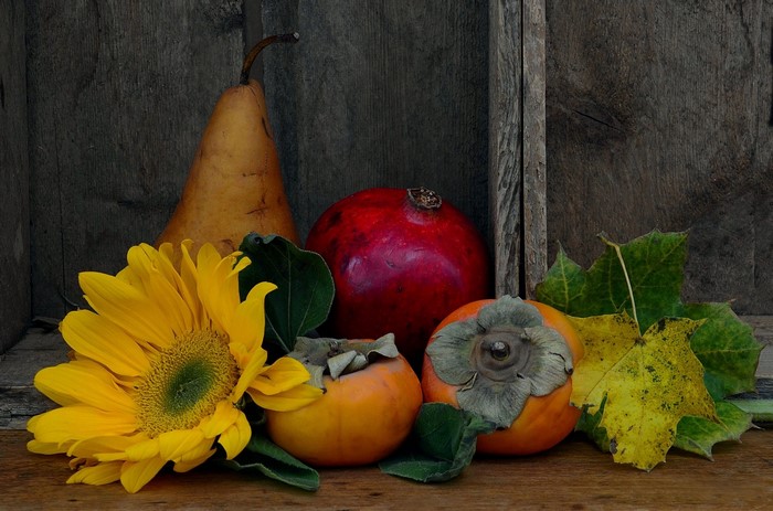 Still life with sunflower, persimmons, pomegranate, and pear