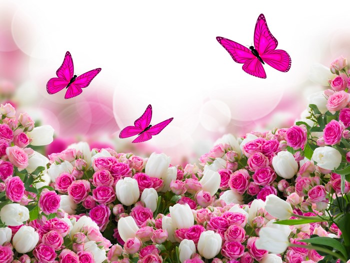 Pink Butterflies and Roses Tulips Flowers