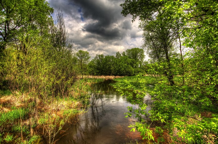 River and trees under cloudy sky