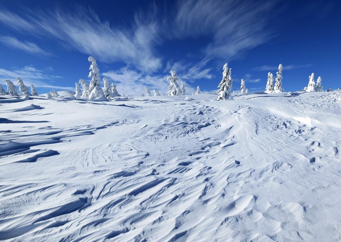 Winter Scenery with Snow-Covered Trees and Blue Sky