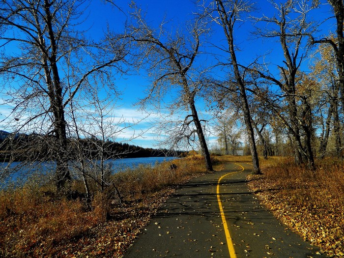 Autumn scene with a river and a paved path