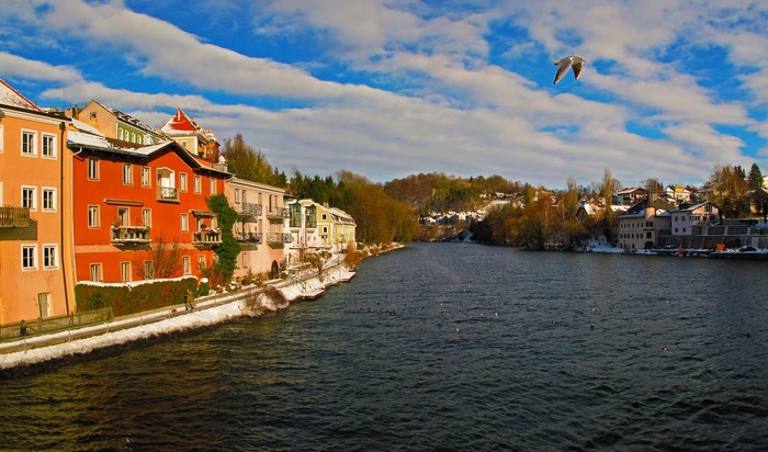 Gmunden, Austria: Houses along a river with a seagull flying