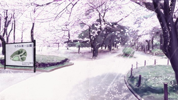 Park with cherry blossoms and a map sign