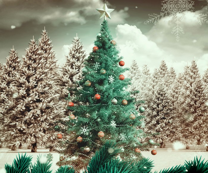 Decorated Christmas Tree in Snowy Forest