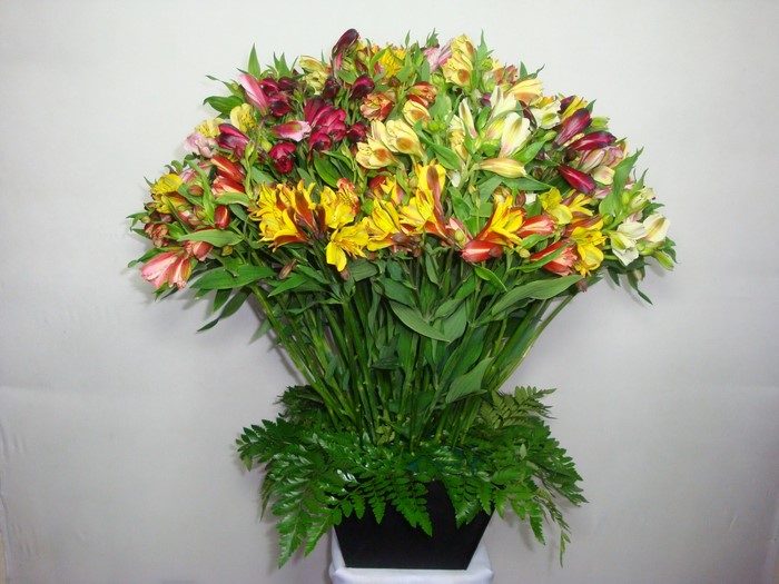 Bouquet of Alstroemeria flowers in a black vase