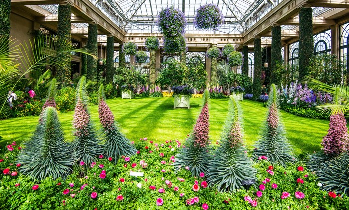 Conservatory garden with tall flowering plants and pink roses