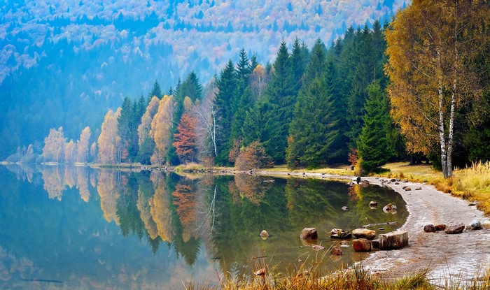 Autumn forest reflected in a calm lake