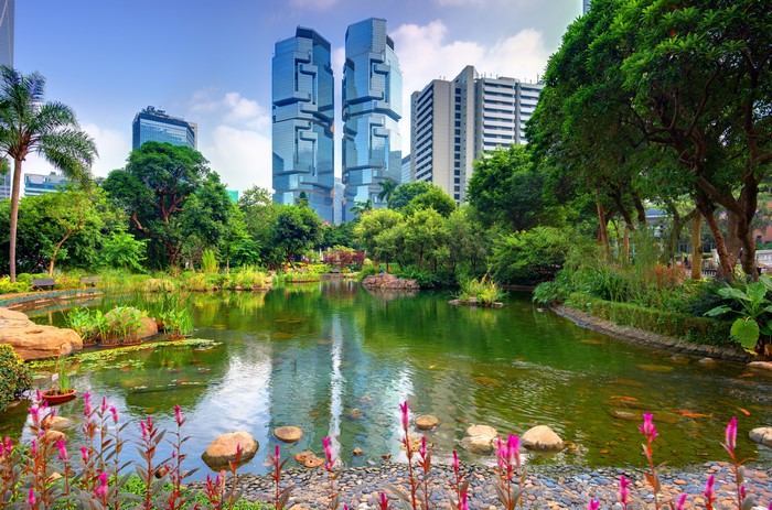 Hong Kong park with pond and modern buildings