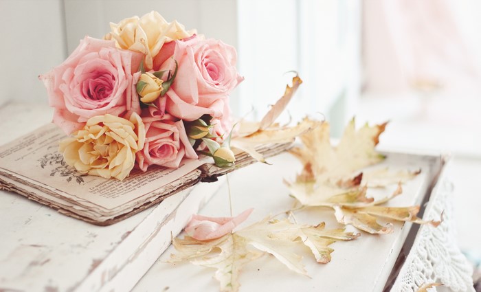 Pink and yellow roses on an old book with fallen leaves