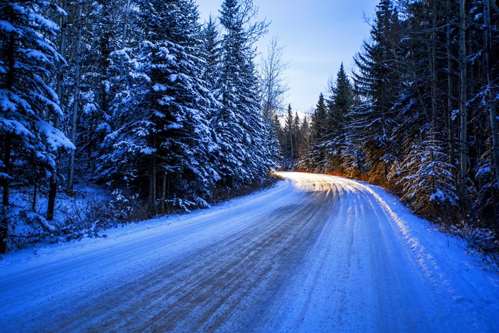 Winter road through a snowy forest