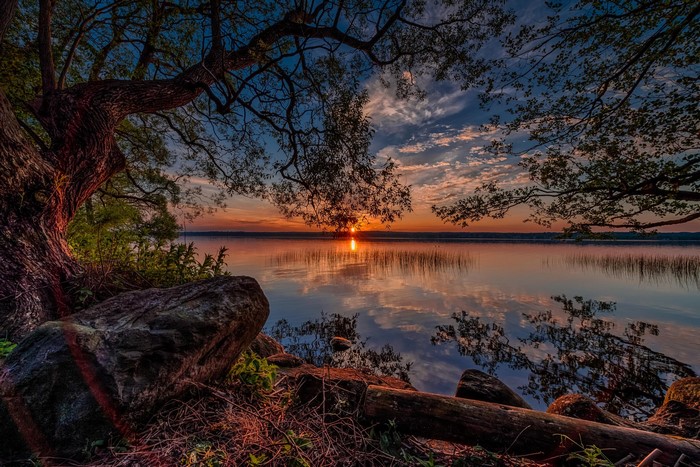 Lake at sunset with trees and rocks