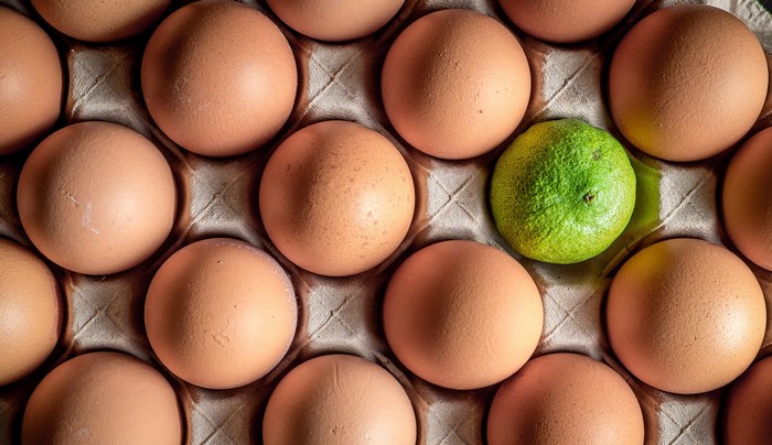 Eggs and a lime in a carton