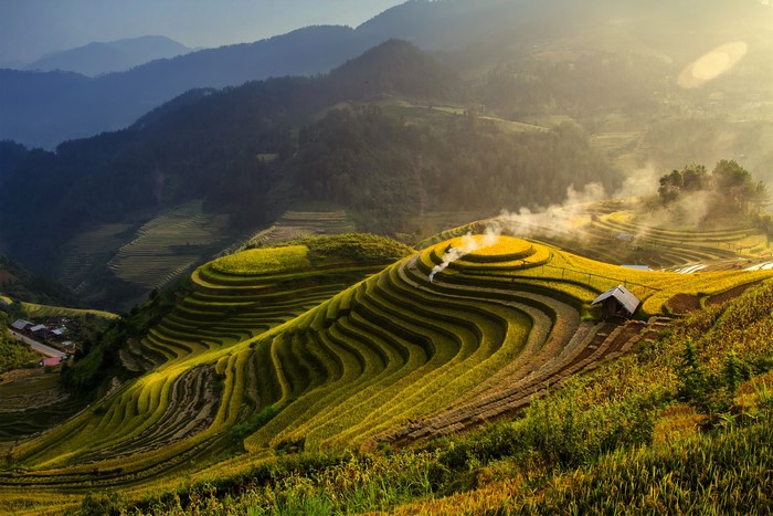 Terraced rice fields in the mountains at sunrise