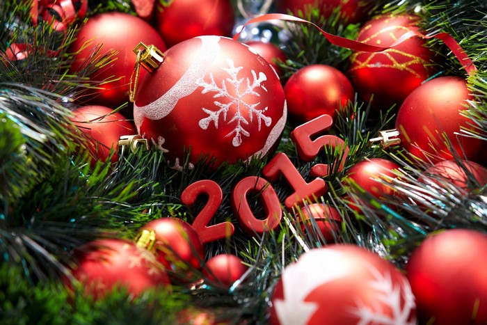 Christmas 2015 Ornaments and Branches
