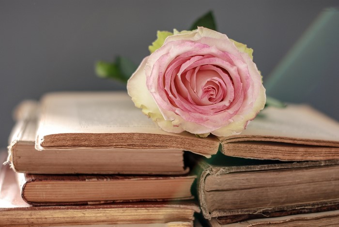 Pink rose on a stack of old books