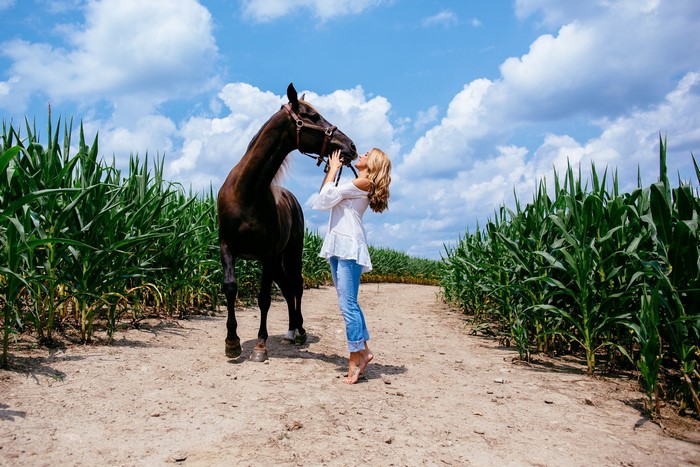 Girl kissing a horse in a cornfield
