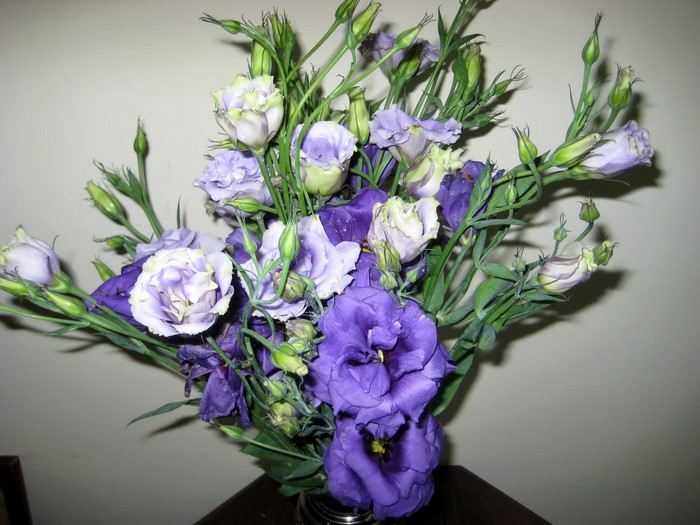 Purple and white eustoma flowers in a bouquet