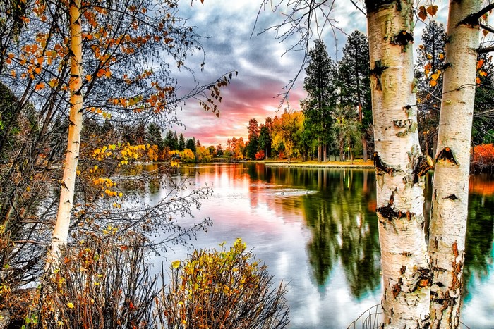 Autumn lake scenery with birch trees and colorful foliage