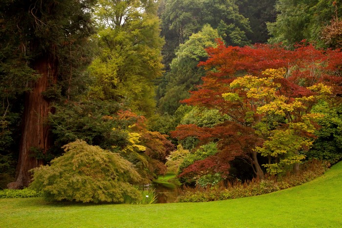 Autumn trees in a park with a stream