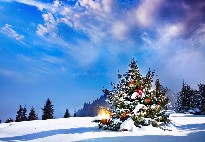 Christmas tree in snowy landscape with starry sky