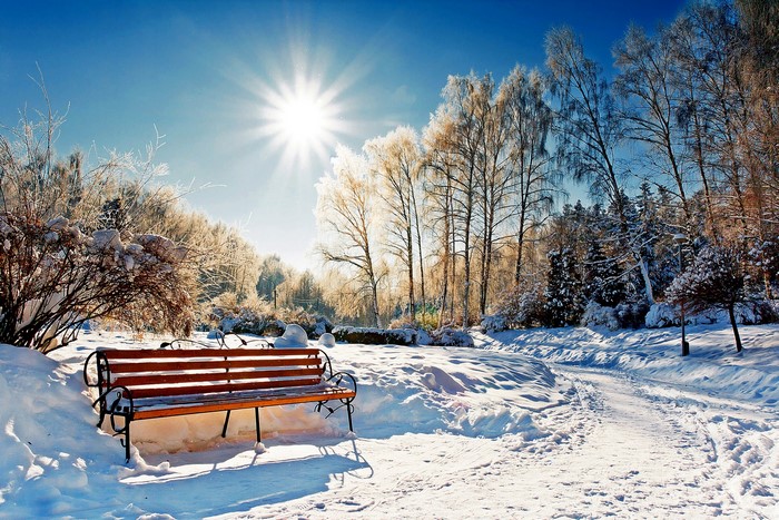 Winter park with snow-covered trees and a bench