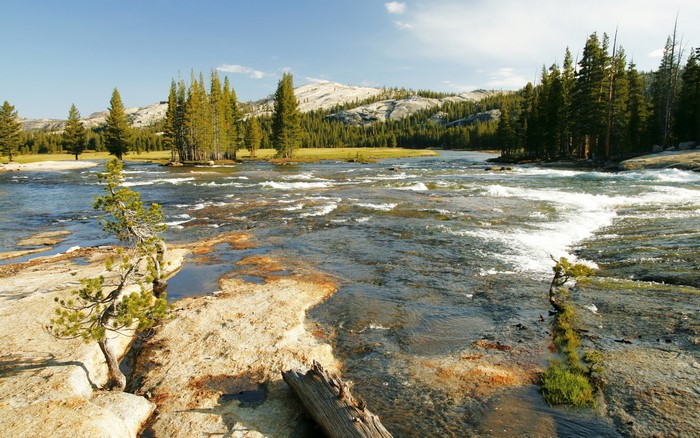 River flowing through Yosemite National Park, California, USA