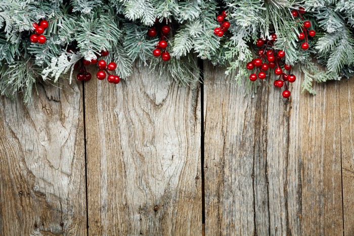 Christmas branches with red berries on wooden planks