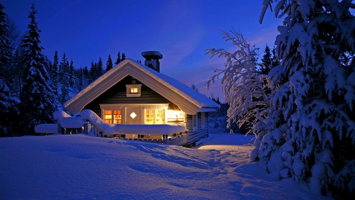 Cozy cabin in a snowy forest at night