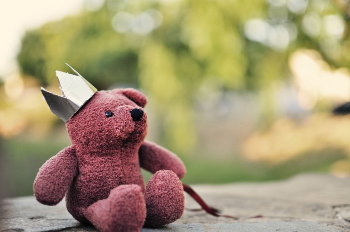 Teddy bear wearing a crown
