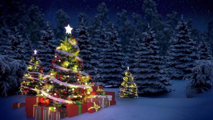 Christmas trees with gifts in a snowy forest at night