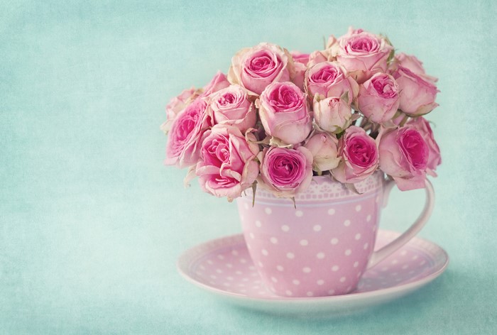 Pink Roses in a Polka Dot Cup