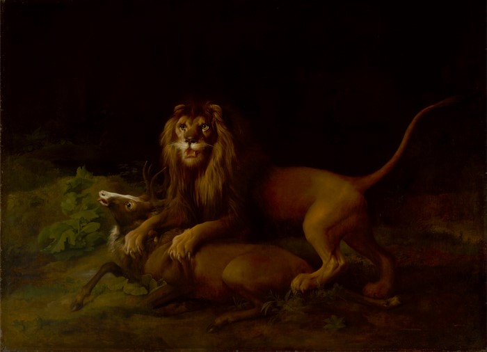A lion attacking a deer by Sangiorgi Stubbs