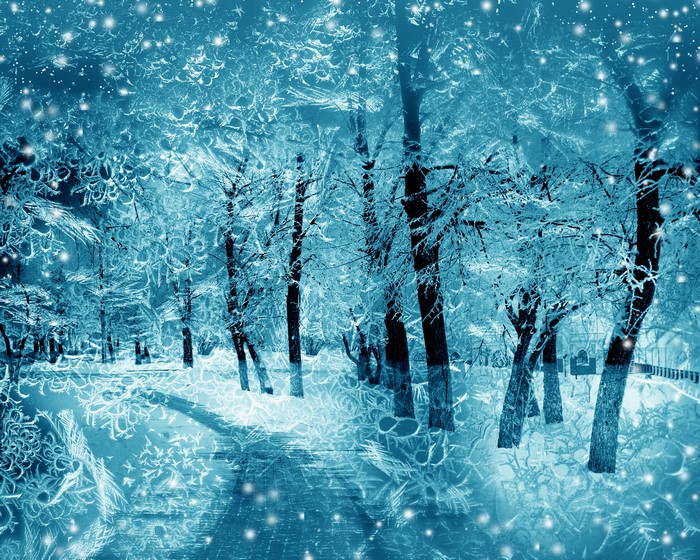 Winter park with snow and trees