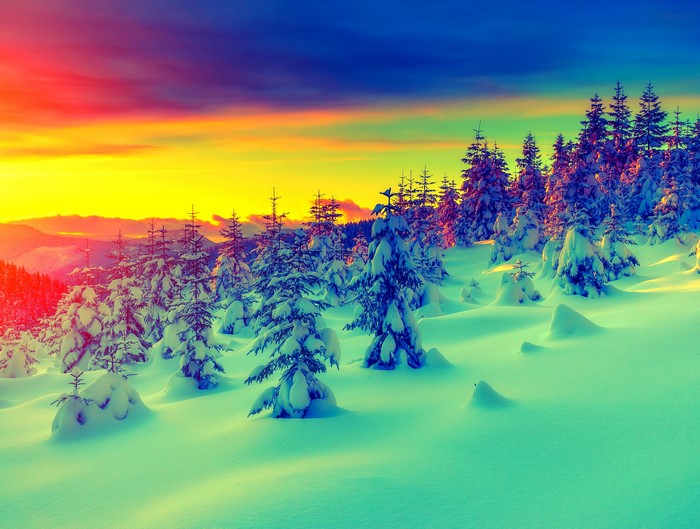 Snowy forest at sunrise with colorful sky