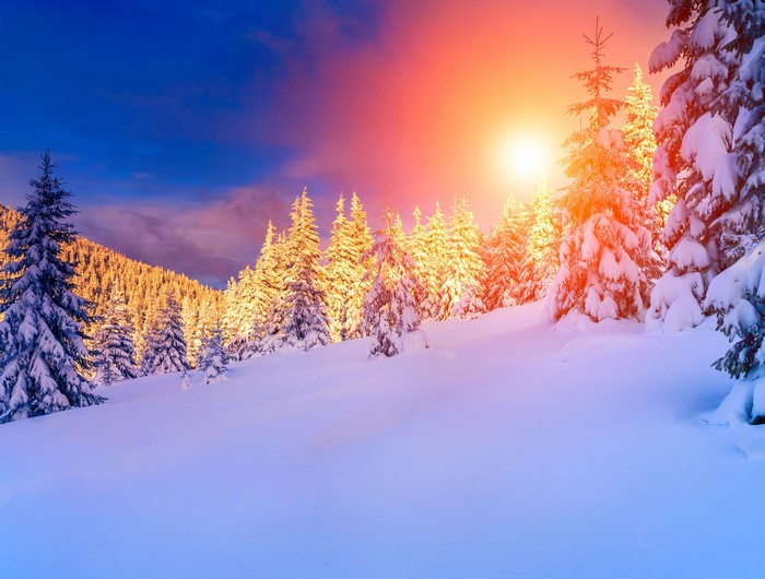 Snowy forest with sunrise and sunset