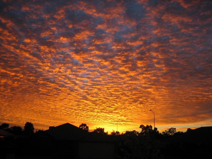 Sunset over suburban rooftops with orange clouds