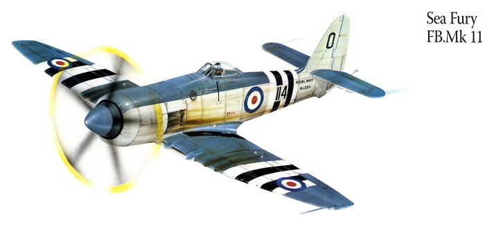 Sea Fury FB.Mk 11 Airplane Painting Art