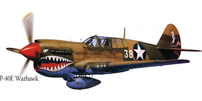 P-40E Warhawk Airplane Painting Art