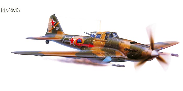 Il-2M3 Airplane Painting Art
